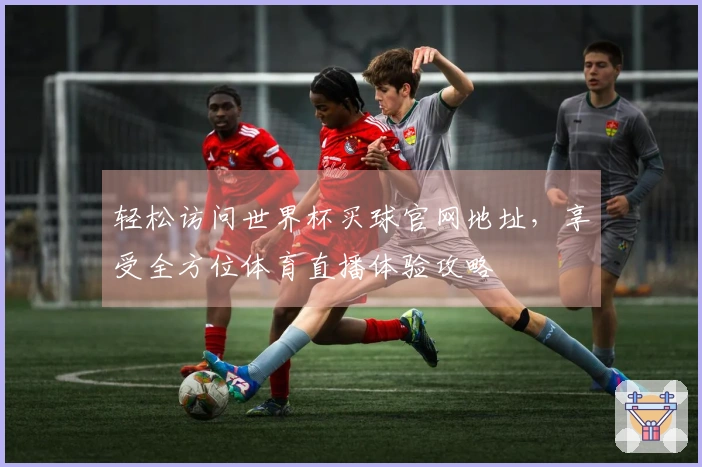 轻松访问世界杯买球官网地址,享受全方位体育直播体验攻略
