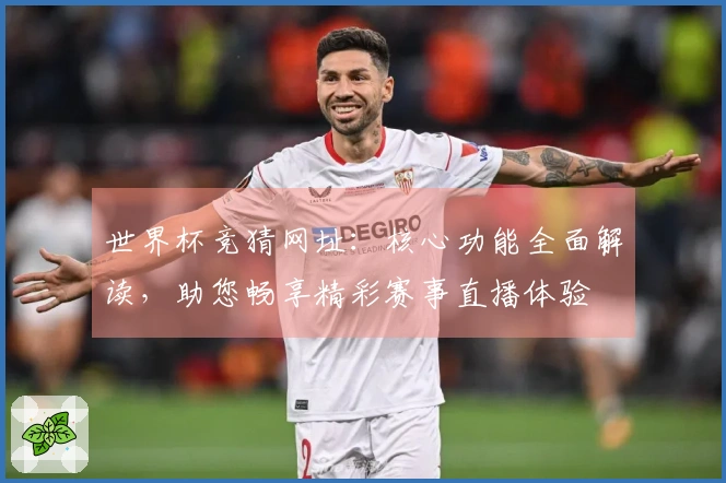 世界杯竞猜网址：核心功能全面解读，助您畅享精彩赛事直播体验