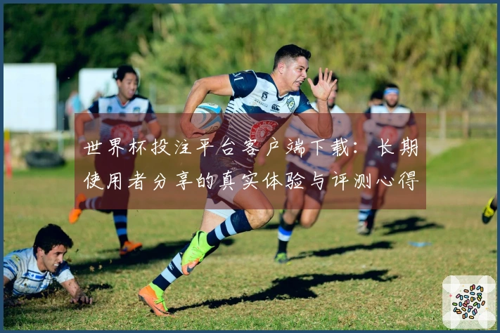 世界杯投注平台客户端下载：长期使用者分享的真实体验与评测心得