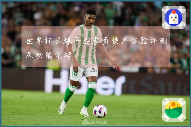 世界杯买球平台首页使用体验评测及功能介绍