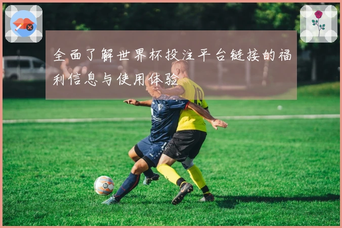 全面了解世界杯投注平台链接的福利信息与使用体验