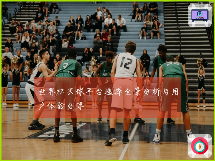 世界杯买球平台选择全景分析与用户体验分享