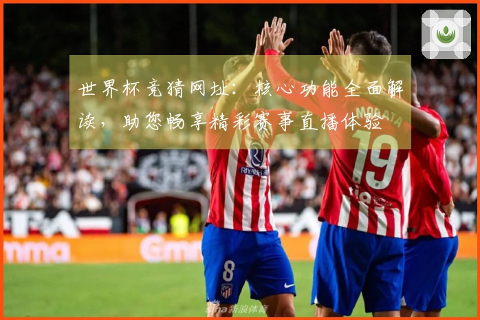 世界杯竞猜网址：核心功能全面解读，助您畅享精彩赛事直播体验