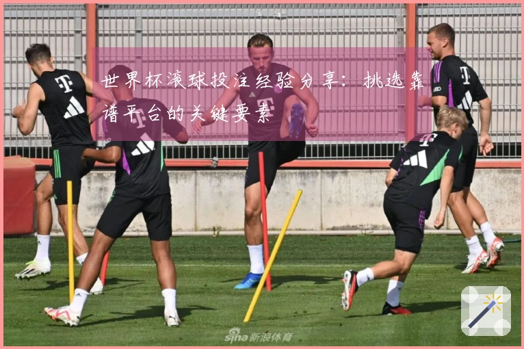 世界杯滚球投注经验分享：挑选靠谱平台的关键要素
