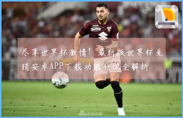 尽享世界杯激情！最新版世界杯竞猜安卓APP下载功能升级全解析