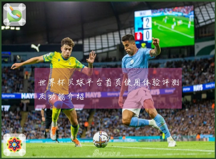 世界杯买球平台首页使用体验评测及功能介绍