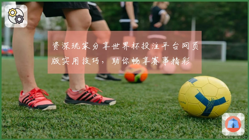 资深玩家分享世界杯投注平台网页版实用技巧，助你畅享赛事精彩
