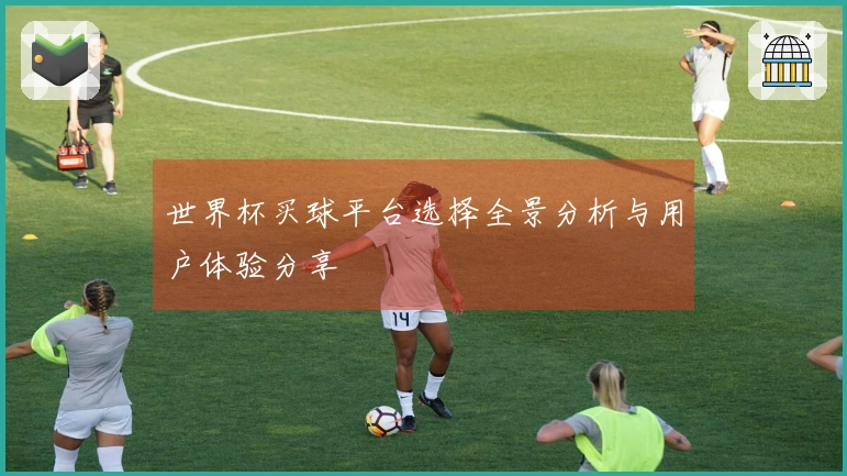 世界杯买球平台选择全景分析与用户体验分享