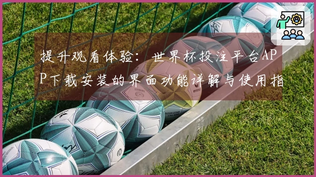 提升观看体验：世界杯投注平台APP下载安装的界面功能详解与使用指南