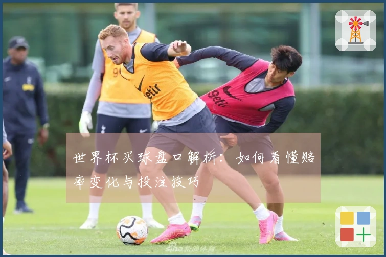 世界杯买球盘口解析：如何看懂赔率变化与投注技巧